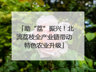 助“荔”振兴！北流荔枝全产业链带动特色农业升级
