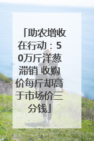 助农增收在行动：50万斤洋葱滞销 收购价每斤却高于市场价三分钱