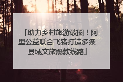助力乡村旅游破圈！阿里公益联合飞猪打造多条县域文旅爆款线路