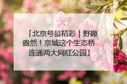 北京号最精彩｜野趣盎然！京城这个生态桥连通两大网红公园