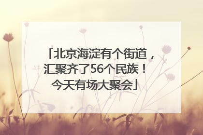 北京海淀有个街道，汇聚齐了56个民族！今天有场大聚会