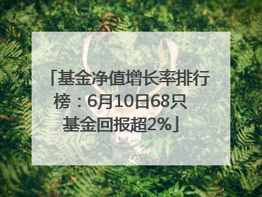 基金净值增长率排行榜：6月10日68只基金回报超2%