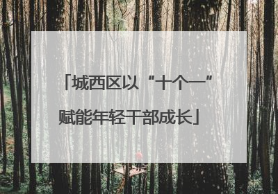 城西区以“十个一”赋能年轻干部成长