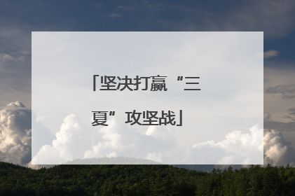 坚决打赢“三夏”攻坚战