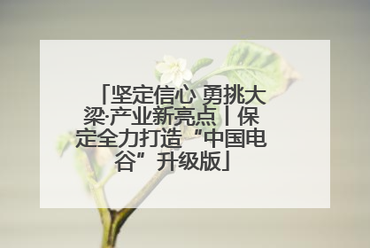 坚定信心 勇挑大梁·产业新亮点丨保定全力打造“中国电谷”升级版