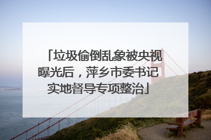垃圾偷倒乱象被央视曝光后，萍乡市委书记实地督导专项整治