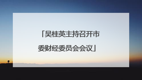 吴桂英主持召开市委财经委员会会议