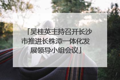 吴桂英主持召开长沙市推进长株潭一体化发展领导小组会议