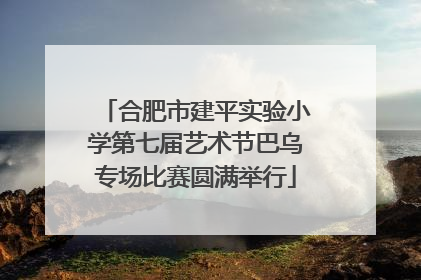 合肥市建平实验小学第七届艺术节巴乌专场比赛圆满举行