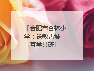 合肥市杏林小学：送教古城 互学共研