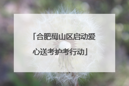 合肥蜀山区启动爱心送考护考行动