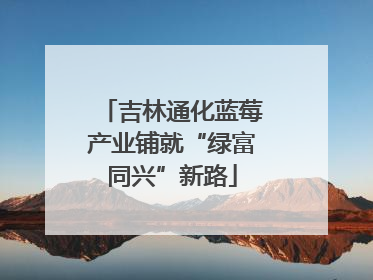 吉林通化蓝莓产业铺就“绿富同兴”新路