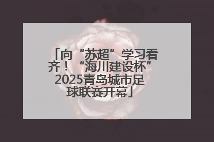 向“苏超”学习看齐！“海川建设杯”2025青岛城市足球联赛开幕