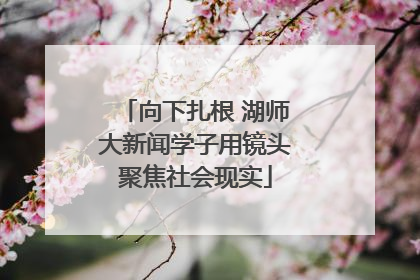 向下扎根 湖师大新闻学子用镜头聚焦社会现实