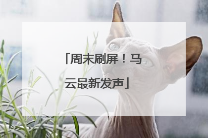 周末刷屏！马云最新发声