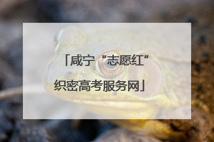 咸宁“志愿红”织密高考服务网