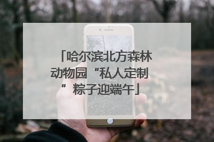 哈尔滨北方森林动物园“私人定制”粽子迎端午