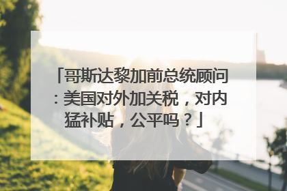 哥斯达黎加前总统顾问：美国对外加关税，对内猛补贴，公平吗？