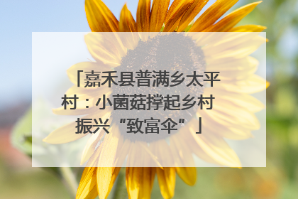 嘉禾县普满乡太平村：小菌菇撑起乡村振兴“致富伞”
