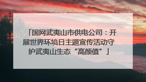 国网武夷山市供电公司：开展世界环境日主题宣传活动守护武夷山生态“高颜值”