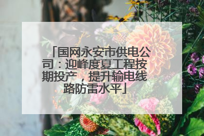 国网永安市供电公司：迎峰度夏工程按期投产，提升输电线路防雷水平
