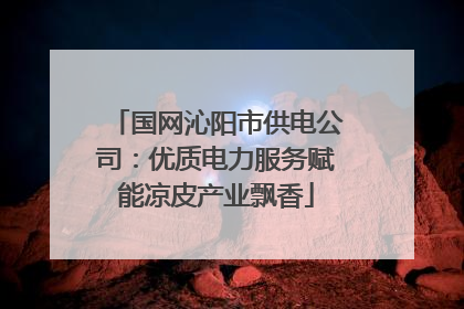 国网沁阳市供电公司：优质电力服务赋能凉皮产业飘香