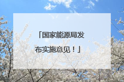 国家能源局发布实施意见！