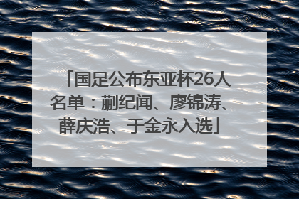 国足公布东亚杯26人名单：蒯纪闻、廖锦涛、薛庆浩、于金永入选