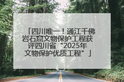 四川唯一！通江千佛岩石窟文物保护工程获评四川省“2025年文物保护优质工程”