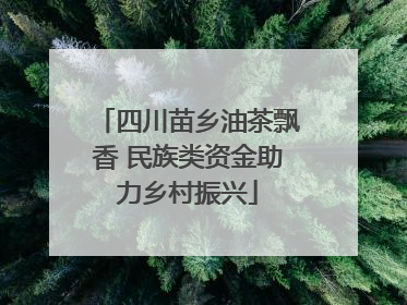 四川苗乡油茶飘香 民族类资金助力乡村振兴