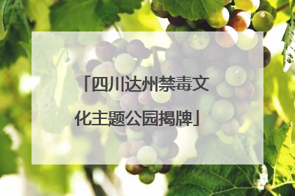 四川达州禁毒文化主题公园揭牌