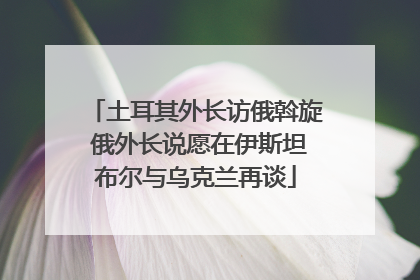 土耳其外长访俄斡旋 俄外长说愿在伊斯坦布尔与乌克兰再谈