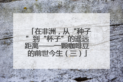 在非洲，从“种子”到“杯子”的遥远距离——一颗咖啡豆的前世今生（三）