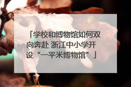 学校和博物馆如何双向奔赴 浙江中小学开设“一平米博物馆”