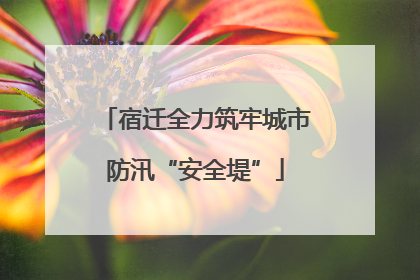 宿迁全力筑牢城市防汛“安全堤”