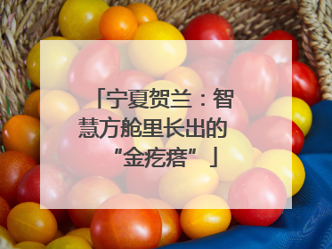 宁夏贺兰：智慧方舱里长出的“金疙瘩”