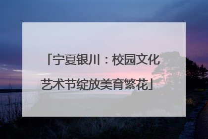 宁夏银川：校园文化艺术节绽放美育繁花
