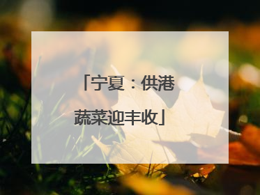 宁夏：供港蔬菜迎丰收