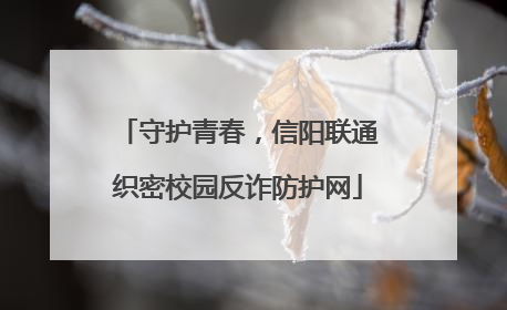 守护青春，信阳联通织密校园反诈防护网