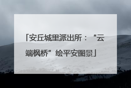 安丘城里派出所：“云端枫桥”绘平安图景