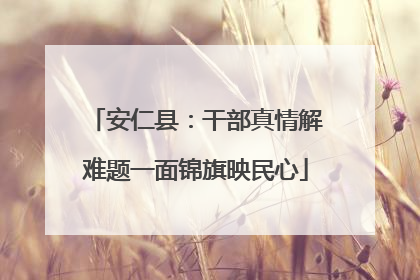 安仁县：干部真情解难题一面锦旗映民心