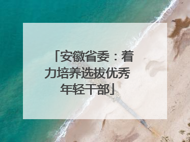 安徽省委：着力培养选拔优秀年轻干部