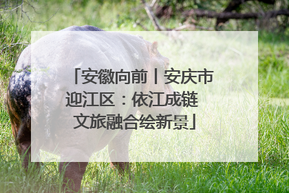 安徽向前丨安庆市迎江区：依江成链 文旅融合绘新景