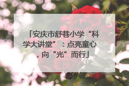 安庆市舒巷小学“科学大讲堂”：点亮童心，向“光”而行