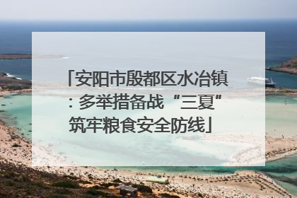 安阳市殷都区水冶镇：多举措备战“三夏” 筑牢粮食安全防线