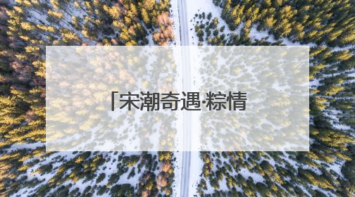 宋潮奇遇·粽情古街：一场穿越千年的文化交响曲