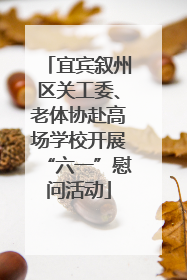 宜宾叙州区关工委、老体协赴高场学校开展“六一”慰问活动