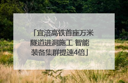 宜涪高铁首座万米隧道进洞施工 智能装备集群提速4倍