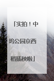 实拍！中坞公园京西稻插秧啦