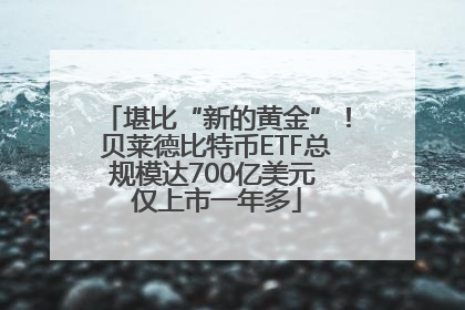 堪比“新的黄金”！贝莱德比特币ETF总规模达700亿美元 仅上市一年多
